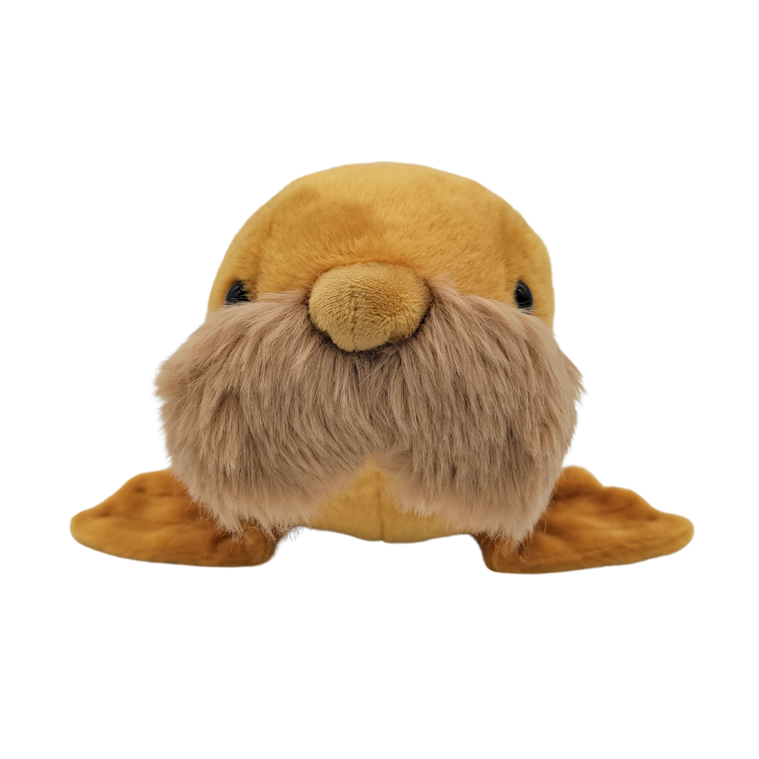 �̤�����ߡڥҥޥݥݣ������åȡ�