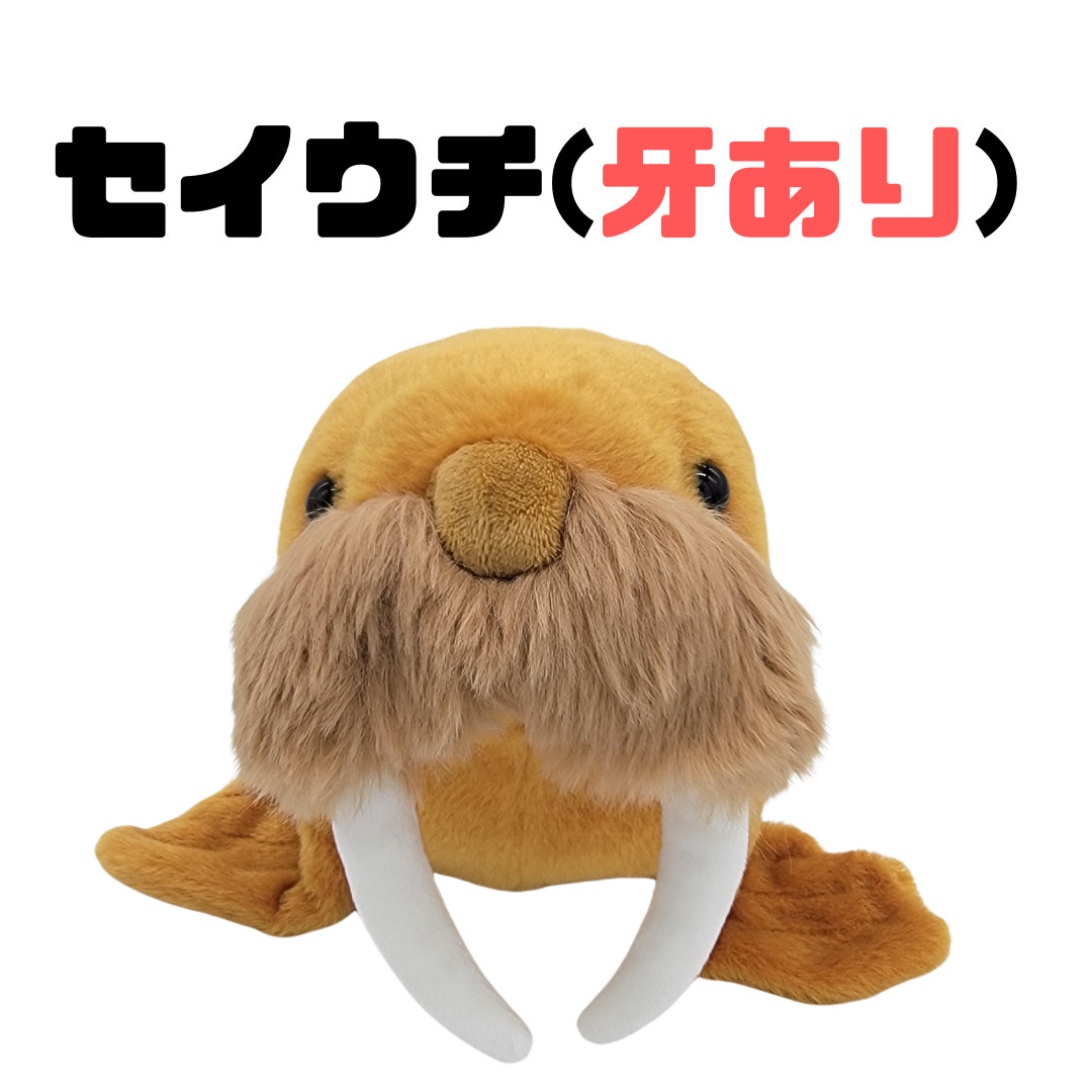 �̤�����ߡڥҥޥݥݣ������åȡ�