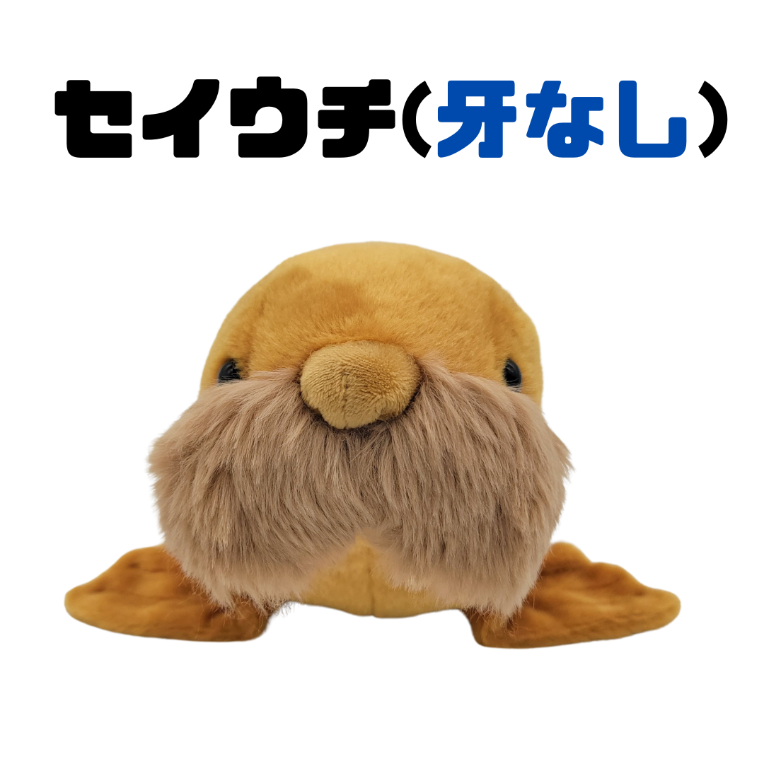 �̤�����ߡڥҥޥݥݣ������åȡ�