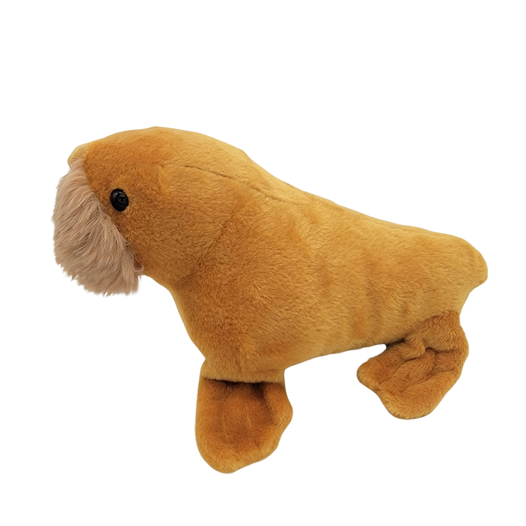 �̤�����ߡڥҥޥݥݣ������åȡ�