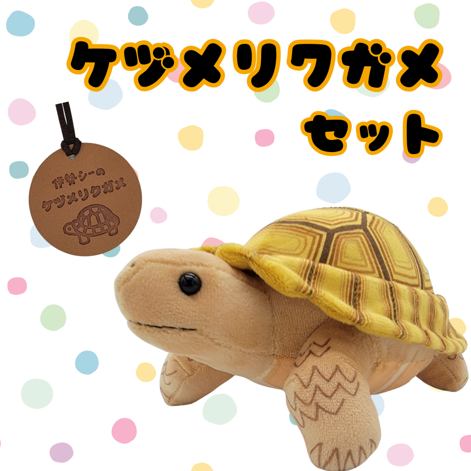 ぬいぐるみ【ケヅメリクガメセット】 | 伊勢シーパラダイス オリジナル