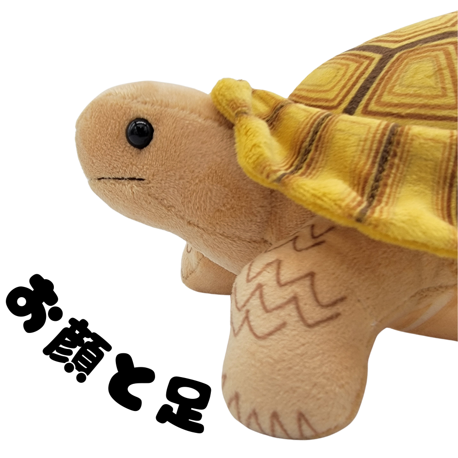 �̤�����ߡڥ��ť�ꥯ���᥻�åȡ�