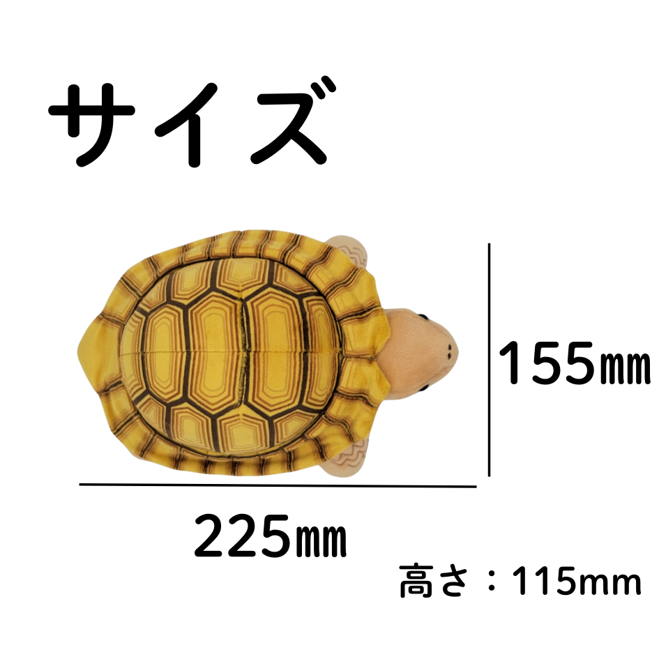 �̤�����ߡڥ��ť�ꥯ���᥻�åȡ�