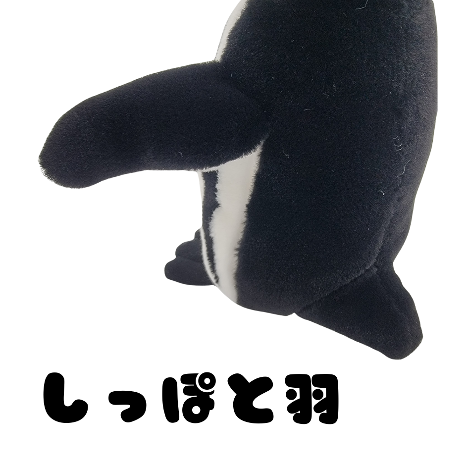 �̤�����ߡڥե�ܥ�ȥڥ󥮥󥻥åȡ�