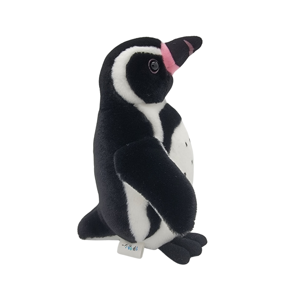 �̤�����ߡڥե�ܥ�ȥڥ󥮥󥻥åȡ�