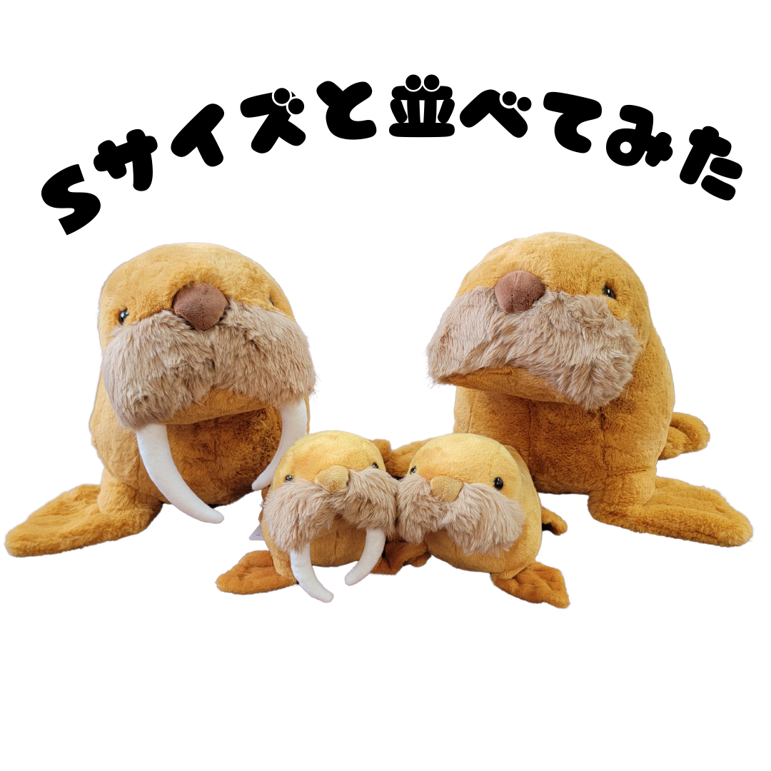 �̤�����ߡڥҥޥݥݡ�L���������������åȡ�