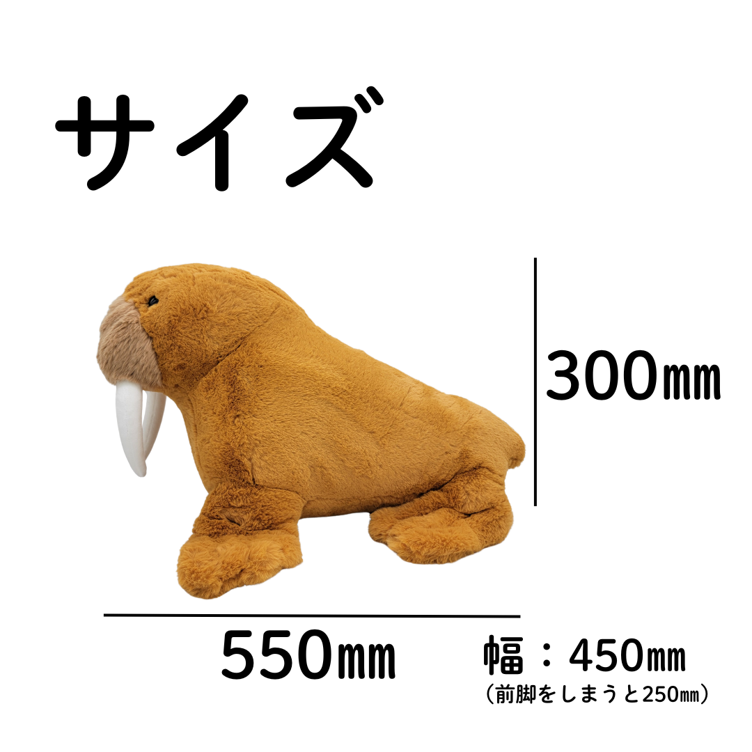 �̤�����ߡڥҥޥݥݡ�L���������������åȡ�