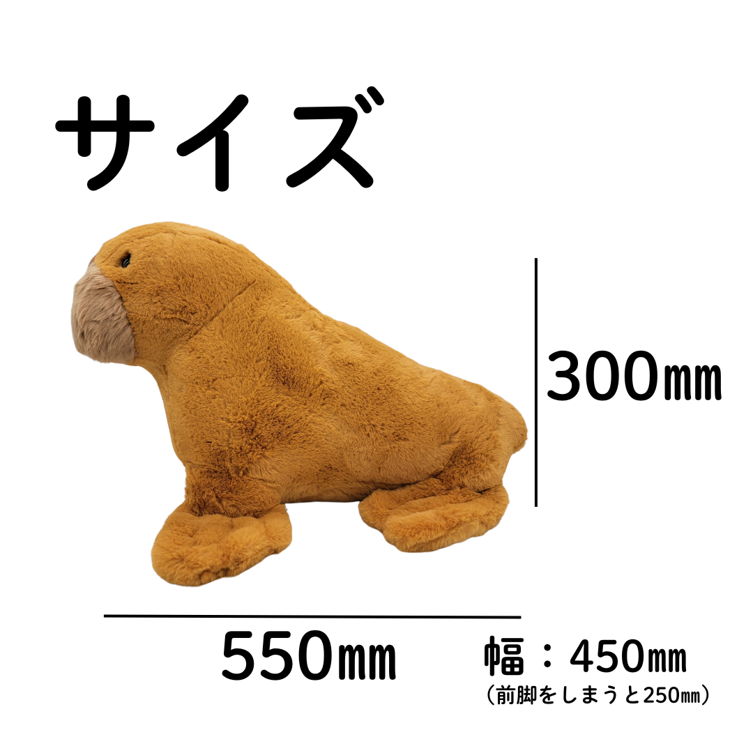 �̤�����ߡڥҥޥݥݡ�L���������������åȡ�