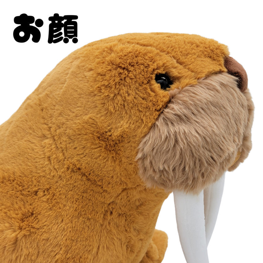 �̤�����ߡڥҥޥݥݡ�L���������������åȡ�