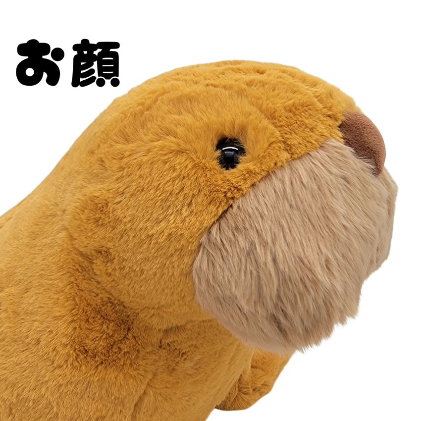 �̤�����ߡڥҥޥݥݡ�L���������������åȡ�