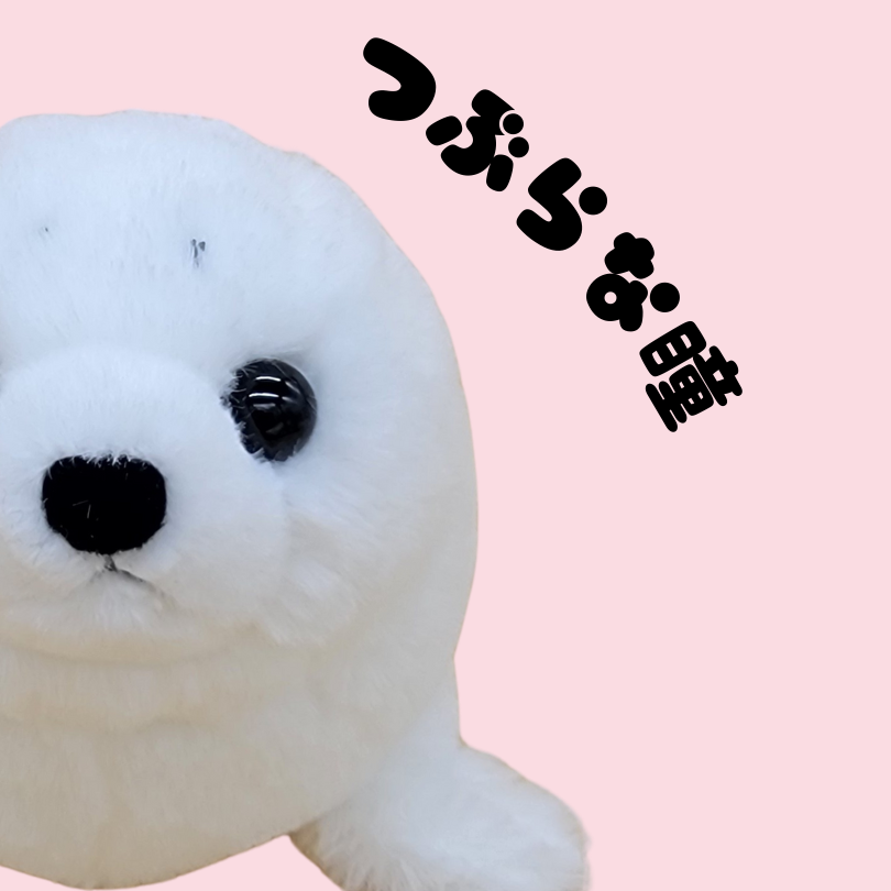 �̤�����ߡڤ����󥴥ޤ���������åȡ�