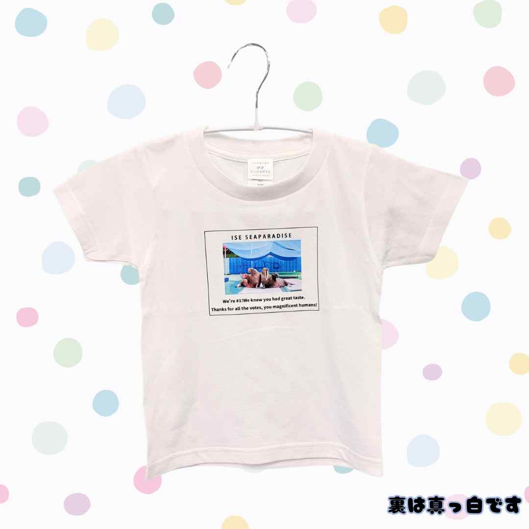 䤷赭ǰECָڤäݤTġNo.01ҥޥݥݡ