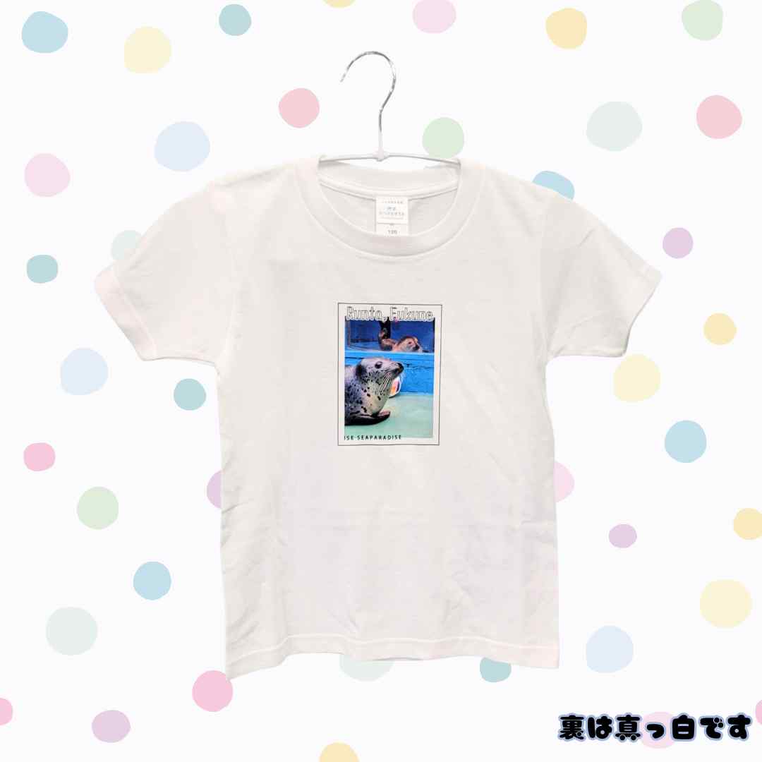 䤷赭ǰECָڤäݤTġNo.02ʡ