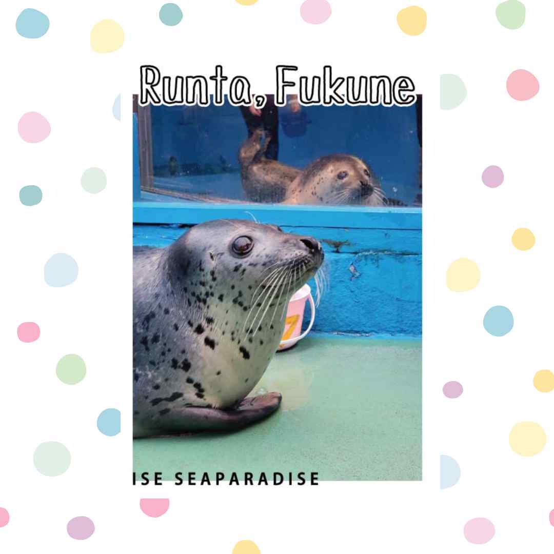 䤷赭ǰECָڤäݤTġNo.02ʡ