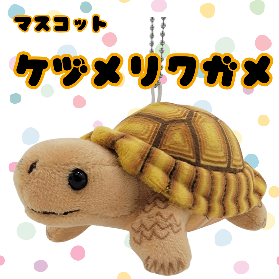 �ޥ����åȡڥ��ť�ꥯ�����