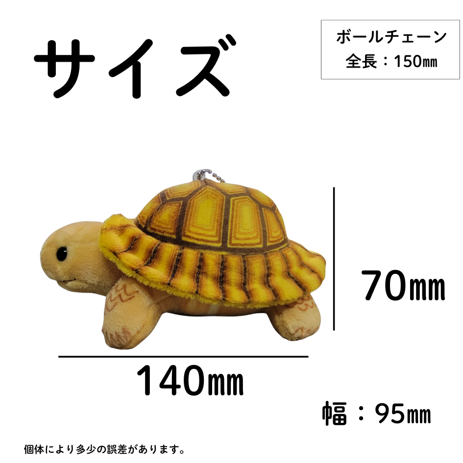 �ޥ����åȡڥ��ť�ꥯ�����