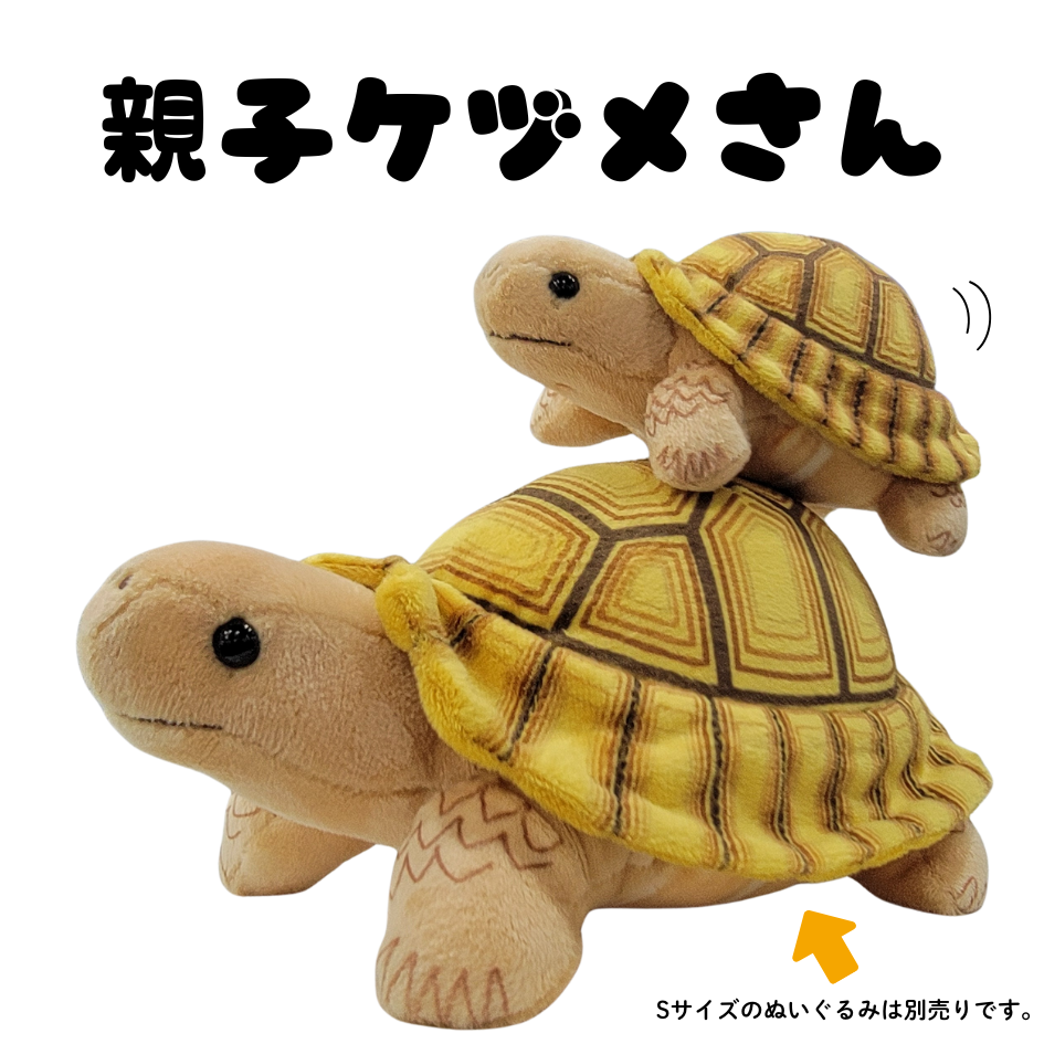 �ޥ����åȡڥ��ť�ꥯ�����