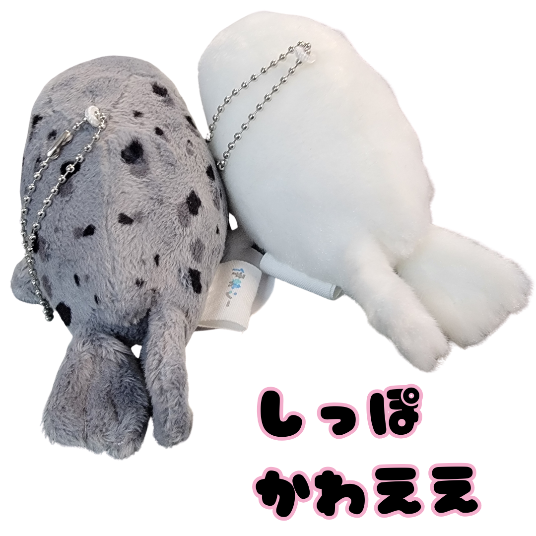 ���ޥե����饷�ɤ������ �ˤ��������å�