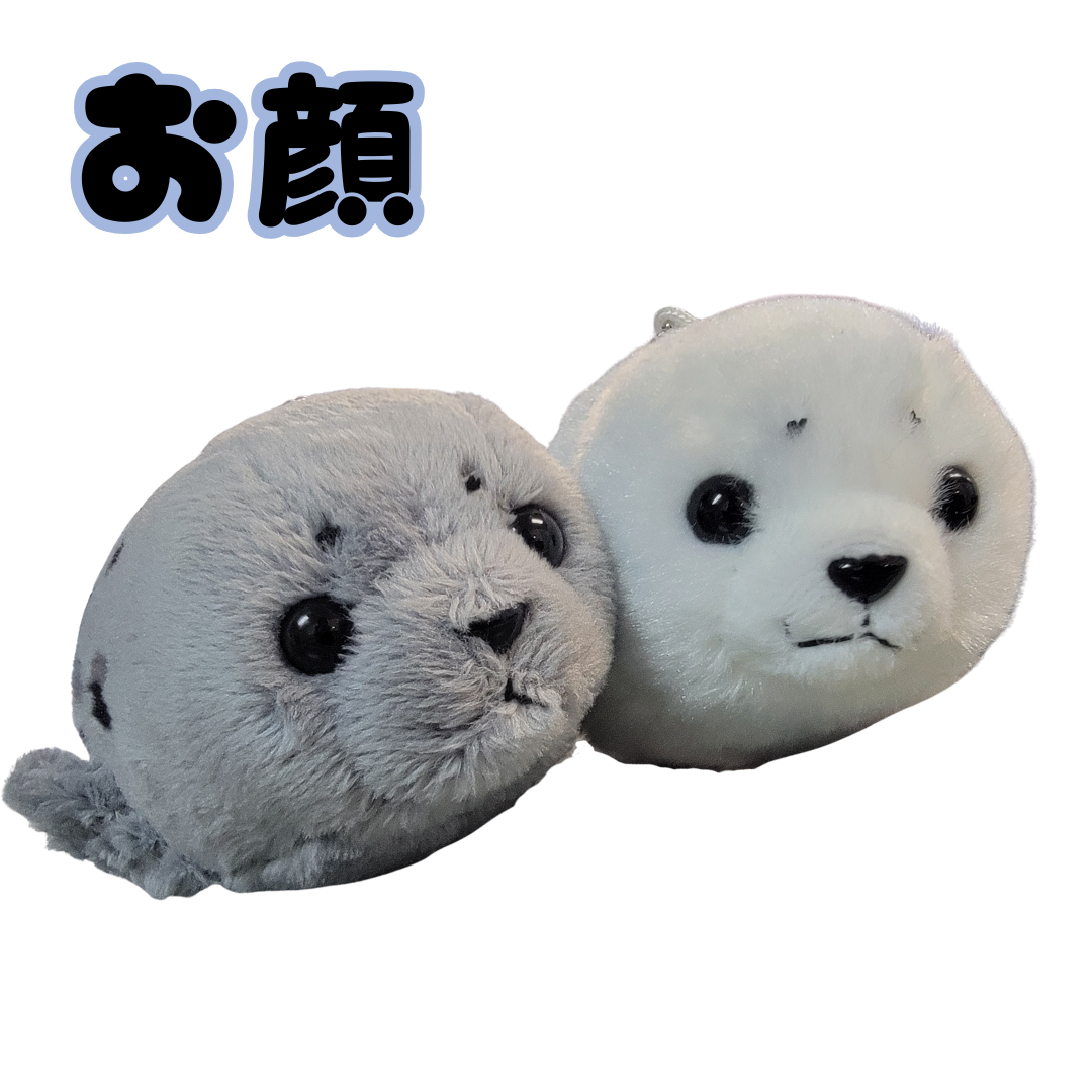 ���ޥե����饷�ɤ��������� �ˤ��������å�