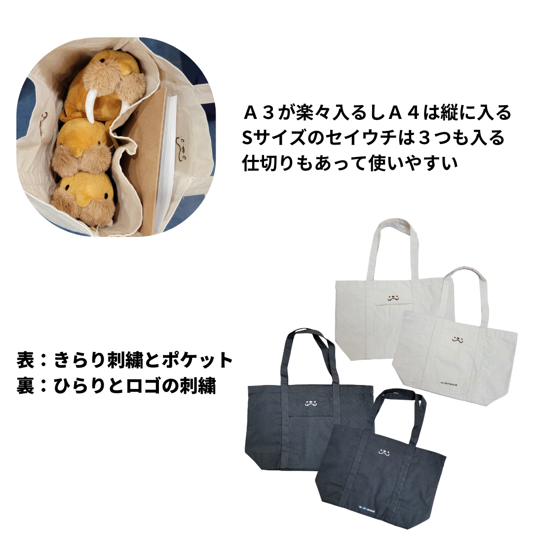 ���������Υȡ��ȥХå�  ����Ҥ顡�̥�����