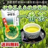 半額【丸中製茶】伊勢茶在来種若葉摘一番茶１００ｇメール便