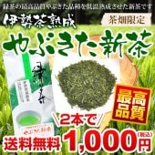 伊勢茶熟成やぶきた新茶８０ｇ２本セットメール便