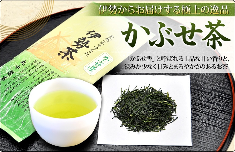 お茶 緑茶 煎茶 日本茶 茶葉 テアニン 国産 三重県産 伊勢 丸中製茶 伊勢茶 かぶせ茶 100g