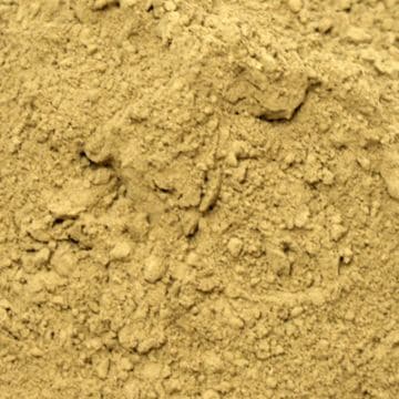 業務用 抹茶 パウダー 1000g 粉末 伊勢茶 食品加工用 一番茶 粉末ほうじ茶 1kg 伊勢 丸中製茶