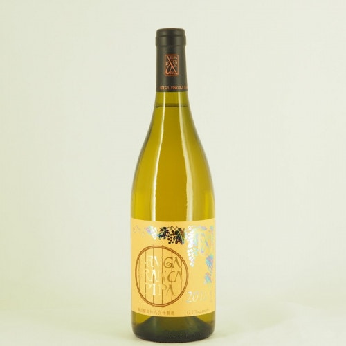 勝沼醸造(アルガーノ、アルガブランカ)｜伊勢五本店