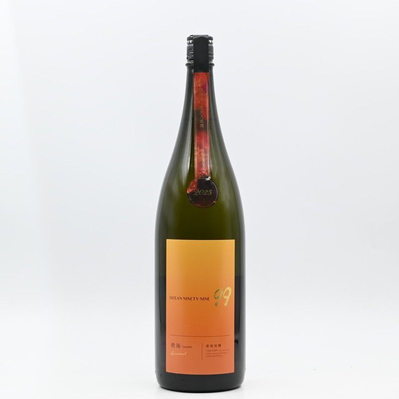  OCEAN99 (Ȥ) -Arrival- ̵ɲٲ1.8L