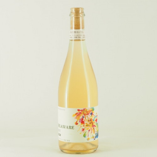 �����ƥ磻�� �ǥ�ɥ饤 2021��750ml