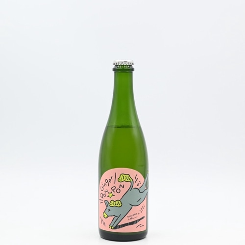 haccoba Ginger PONPON(haccoba LABCAN-PANY)500ml