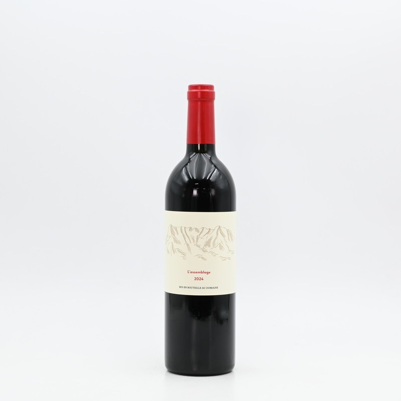 3_000000002384.jpg?1762913746