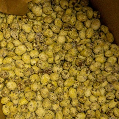 ��ͽ���ʡ� Ʀ̣�����ꥻ�å� ������ȯ������2026ǯ1��17��(��)�Τߢ�