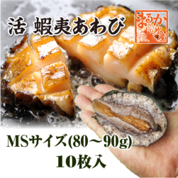 活 蝦夷あわび 80～90g MSサイズ[あわび]（入数:10枚 ★）