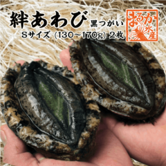 絆あわび（天然黒あわびのつがいセット）Sサイズ 130〜170g　2枚 ★[あわび]|絆あわび|あわび