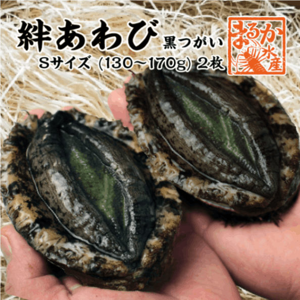 絆あわび（天然黒あわびのつがいセット）Sサイズ 130～170g　2枚 ★[あわび]