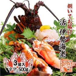 捌いて発送 国産天然 伊勢海老 小さめサイズ 3尾入 500g ★[伊勢海老]|捌いてお届け|伊勢海老