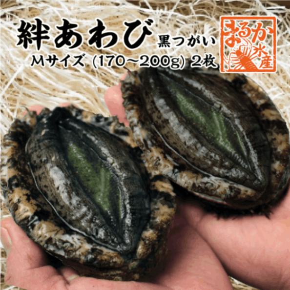 絆あわび 天然黒あわびのつがいセット）Mサイズ 170～200g　2枚 ★[あわび]