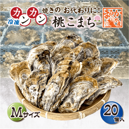□冷凍 おかわりに！[殻付き牡蠣] 桃こまち Mサイズ20個