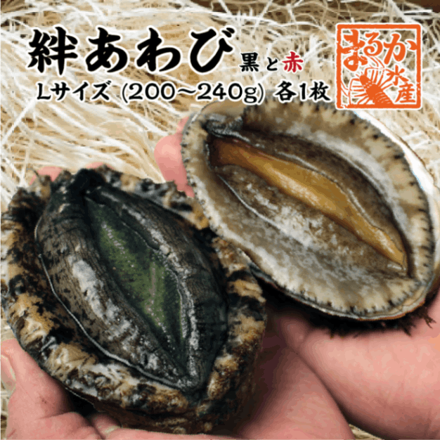 絆あわび（天然黒赤あわびのつがいセット）Lサイズ 200～240g　各1枚  ★[あわび]