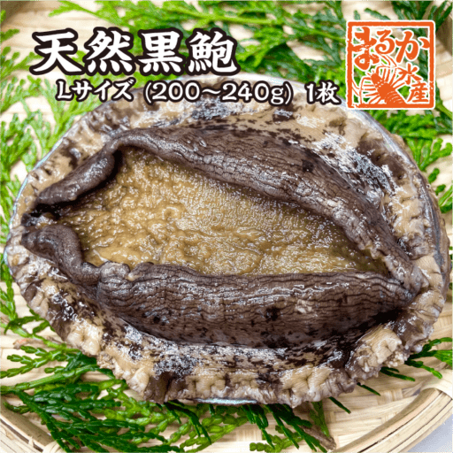 天然黒あわび Lサイズ 200～240g　1枚 [あわび]