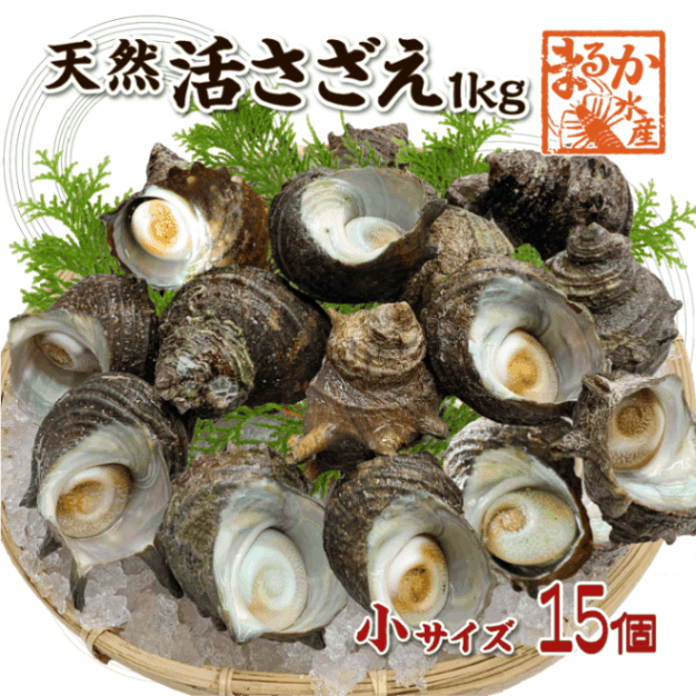 天然活 さざえ 小サイズ 1kg 15個 50～70g [さざえ]