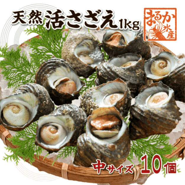 天然活 さざえ 中サイズ 1kg 10個 70～110g [さざえ]
