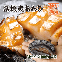 活 蝦夷あわび 100g Mサイズ [あわび]（入数:5枚 ★）|蝦夷あわび|あわび