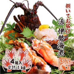 捌いて発送 国産天然 伊勢海老 標準サイズ 4尾入 1.0kg ★[伊勢海老]|捌いてお届け|伊勢海老