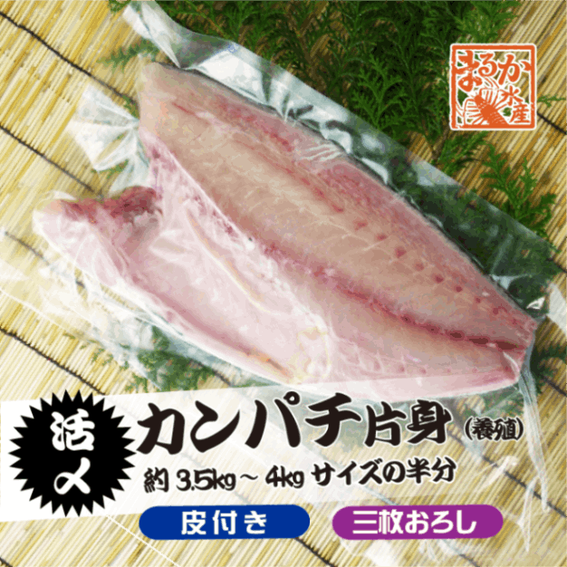 活〆カンパチ 片身 捌いてお届け！ 三枚おろし 皮付き 3.5～4.0kgサイズの半分（養殖）[魚介類]