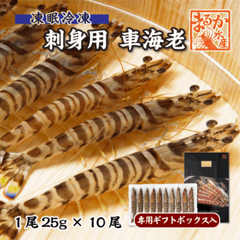 刺身用車海老 凍眠冷凍 25g [冷凍車海老]（入数：10尾 250g/ギフトボックス入）|甲殻類（エビ・イカ・タコ）