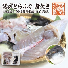 活〆とらふぐ身欠き　1.0キロ以上　身欠処理（除毒）済 （身欠処理後約600g）白子は入っていません|新鮮さが自慢の鮮魚