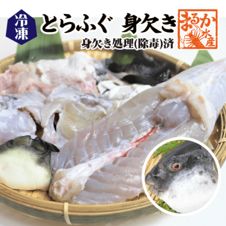 冷凍 とらふぐ身欠き 身欠処理（除毒）済/ 白子は入っていません[冷凍フグ]